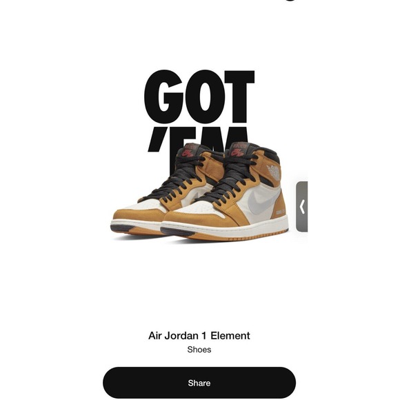 Nike Air Jordan 1 Retro High Element GORE-TEX Light Curry DB2889-700 10.5 DS - Picture 7 of 7